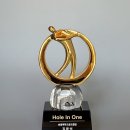 파크골프클럽 | [제작후기] 송골매 파크골프 클럽 홀인원 기념패