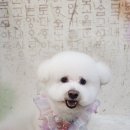 중동위생