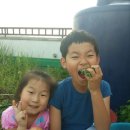 행운동-13 이미지