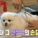 순심이