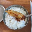한경 | 제주도 뼈없는 갈치조림 맛집추천 한경가든 주차 정보 내돈내산 후기