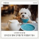 행복펫