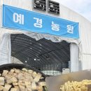 농원자판기 | 양산 원동 미나리 삼겹살 3번집 예경농원 솔직후기