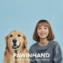 포인