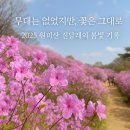 동산박물관 | [3,4월 축제]서울 근교 봄꽃 축제|부천 원미산 진달래축제|진달래 동산 3월, 4월 방문 후기