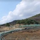 신산공인중개사사무소 이미지