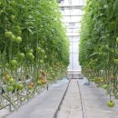 박대성농장 이미지