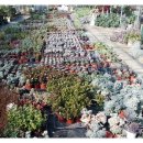 가조농장 이미지