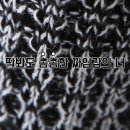 더 하찌 이미지