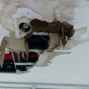 일심상사 이미지