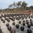 창원단감테마공원 이미지