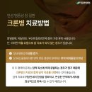 위담 이미지