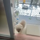 멍키매직 이미지