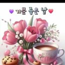 작은행복 Daum카페