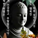 청용 이미지