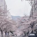 그린안마원 이미지