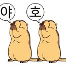 남영세탁 이미지