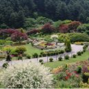 아침 정원 펜션 이미지