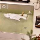 물길스테이 이미지