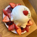 마인풀니스 | [대전카페] 마인풀니스 ❁ུ۪