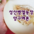 벧엘농장 이미지