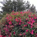 애월의언덕 민박 이미지