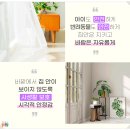익산시북부청사 | 찢어짐 걱정 없는 익산남중동방충망 추천