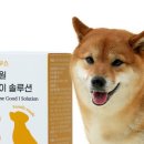 모모하우스 이미지