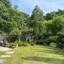 보리네 뜰 이미지