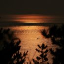 토말하우스 이미지