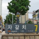 구정(속초) Daum카페