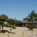 망상오토캠핑리조트 이미지
