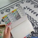 하와인가? 아니고 나트랑🇻🇳
