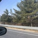 해리 스타일스 내한 공연 Harry styles concert in Korea (+후기)