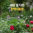 세상 꽃들 다 여있네~ 5월의 끝에서 한택식물원 꽃 만개 실황