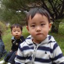 경복대로 이미지