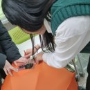 원광보건고등학교 이미지