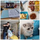 서연도시락 이미지