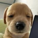 큐티 이미지