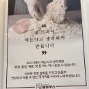 시흥경찰서 | 장곡동 맛집 진심왕돈까스 시흥 장현 점심 추천