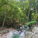 동학사 - 1053 | 충남 공주 동학사 계곡 물놀이 후기