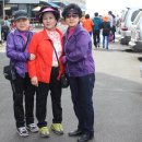 둔내초등학교 이미지