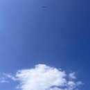 화랑관 다목적경기장(체육경기/평일) | 부산 사하구 을숙도 다목적 실내생활체육관 대규모 테니스 코트장 예약 및 이용 후기