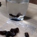 베트남 침향