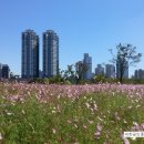 상동주공아파트 이미지