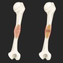 지성한의원 이미지