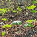 산골 독채 민박 이미지