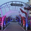 대평동_금강변길 이미지