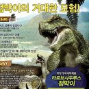 (주)드림써치씨앤씨 티스토리