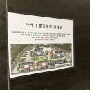 기장 숙소 스테이오 카멜 B 후기
